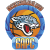 https://img.zgjgba.com/img/basketball/team/9008e0eb5cdc9f3e587e5838c6201832.png