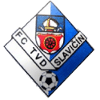 https://img.zgjgba.com/img/football/team/9bbddc3094f6c80a766e3c3eea4e5876.png