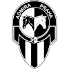 https://img.zgjgba.com/img/football/team/c91b039c658bb0518149e680309804d0.png