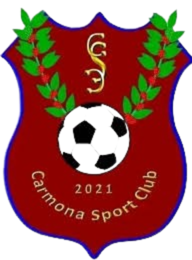 https://img.zgjgba.com/img/football/team/d80b656d03f11e4fa48c5de7e6e98390.png